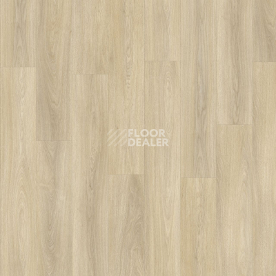 Кварцвиниловые полы Moduleo Next дерево Noble Oak 246 фото 1 | FLOORDEALER